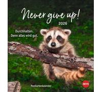 Never give up! Postkartenkalender 2026 - Durchhalten. Denn alles wird gut.: Süße Tiere in einem Postkarten-Fotokalender mit motivierenden Botschaften. Kleiner Kalender zum Aufstellen und Aufhängen.