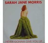 Never Gonna Give You Up