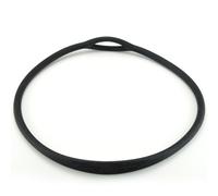 Never Lose Your Regulator Collare Standby Silicone con Collana Immersione
