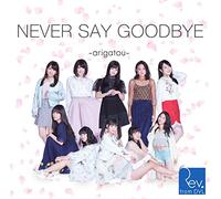 NEVER SAY GOODBYE ~arigatou~(Type-B) 付)