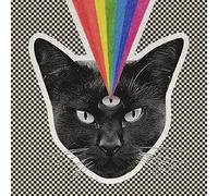 Never Shout Never - Black Cat