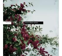 Never Shout Never - What Is Love