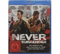 Never Surrender
