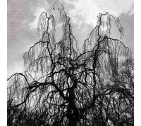 Never Were The Way She Was by Colin Stetson and Sarah Neufeld