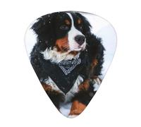 Nevicata del cane da montagna bernese,12 pezzi di plettri per chitarra, 3 plettri di diverso spessore per chitarra acustica, basso, ukulele