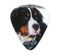 Nevicata del cane da montagna bernese,12 pezzi di plettri per chitarra, 3 plettri di diverso spessore per chitarra acustica, basso, ukulele