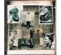 Neville Brothers - Family groove (1992) [VINYL]
