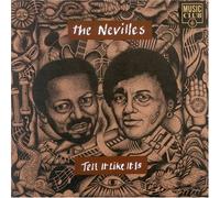 Neville Brothers - Tell It Like It Is