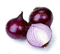 New 100pcs Onion Vegetable Seeds for Gardening Dark Purple