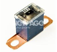 NEW AGE 252/7/100A Fusibile