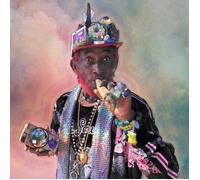 New Age Doom and Lee 'Scratch' Perry Remix the Universe (Vinyl LP) 12" Album