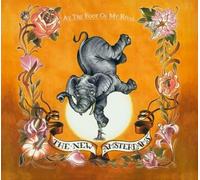 New Amsterdams - At The Foot Of My Rival +3