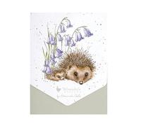 New Beginnings' Hedgehog - Confezione di biglietti