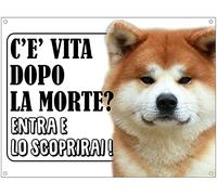 NEW CARTELLO SEGNALETICO - AKITA INU c'è vita dopo la morte, entra e lo scoprirai - Adesivo Extra Resistente, Pannello in Forex, Pannello In Alluminio (ADESIVO 30X42 cm)