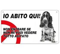NEW CARTELLO SEGNALETICO - Attenti al cane Springer spaniel, IO ABITO QUI - Adesivo Extra Resistente, Pannello in Forex, Pannello In Alluminio (PANNELLO IN FOREX 20X31 CM)