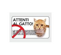 NEW CARTELLO SEGNALETICO - Attenti al gatto, MI VUOI CONOSCERE? - Adesivo Extra Resistente, Pannello in Forex, Pannello In Alluminio (ADESIVO 20X31 CM)
