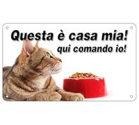 NEW CARTELLO SEGNALETICO - attenti al gatto, QUI COMANDO IO - Adesivo Extra Resistente, Pannello in Forex, Pannello In Alluminio (ADESIVO 20X31 CM)