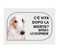 NEW CARTELLO SEGNALETICO - BORZOI c'è vita dopo la morte, entra e lo scoprirai - Adesivo Extra Resistente, Pannello in Forex, Pannello In Alluminio (PANNELLO IN ALLUMINIO 30X42 CM)