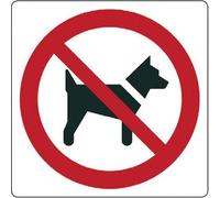 NEW CARTELLO SEGNALETICO QUADRATO - Vietato l'ingresso ai cani - Adesivo Extra Resistente, Pannello in Forex, Pannello In Alluminio (PANNELLO IN FOREX 10 CM)