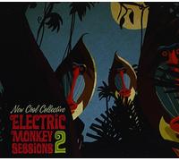 NEW COOL COLLECTIVE - ELECTRIC MONKEY SESSIONS2