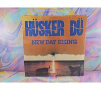 New Day Rising di Husker Du (record, repress) nuovo sigillato