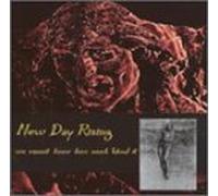 New Day Rising - We Cannot Know How Much Blood