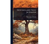 New England Trees in Winter