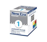 New era 1 240ganuli