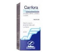 New Fa.Dem. New Fa Dem Canfora 10% Soluzione Cutanea 100ml Analgesico Dolori Muscolari