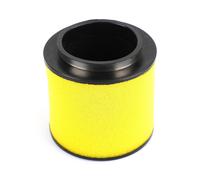 NEW For Honda Air Filter Foreman Rincon Pioneer 17254-HP0-A00 17254-HN1-000 IT Y