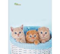 New Generation - Kitten - Composition Notebooks, 7.5 x 9.25 , Wide Ruled, 120 Pages:: School Days with New Generation Makes Learning