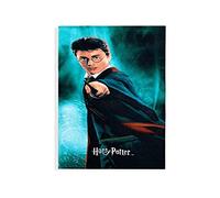 Telo mare Harry Potter in microspugna 70x140cm asciugamano piscina 5459