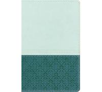New International NIV Study Bible Sea Glass/Caribbean Duo-Tone Perso (Tascabile)