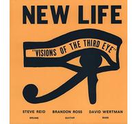 New Life Trio - Visions of The Third Eye