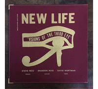New Life Trio - Visions of The Third Eye