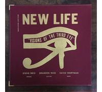 New Life Trio - Visions of The Third Eye