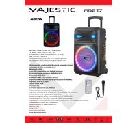 New Majestic Party Speaker A Trolley Bluetooth Con Luci LED, Ingressi USB/MicroSD/AUX/Mic, Telecomando E Microfono Con Filo In Dotazione, Batteria Ricaricabile Integrata