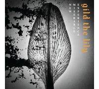 New Miserable Experience Gild the lily (Vinyl LP) 12" Album (PRESALE 06/02/2026)