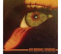 New Miserable Experience Philosophy on Pessimism (Vinyl LP)