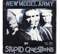 NEW MODEL ARMY - NEW MODEL ARMY - STUPID QUESTIONS - 7" VINYL / 45