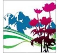 New Order - International