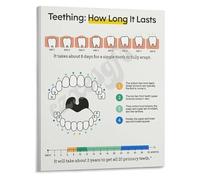 New Parent Guide Poster Understanding the Baby Teething Timeline Canvas Wall Art for Nursery or Playroom Decor Dental Health Information(Unframed,16x24inch(40x60cm))