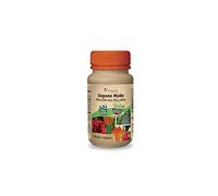 NEW PHARM Sapone Molle Biologico per Piante (Corroborante - Potenziatore delle difese Naturali) 200ml