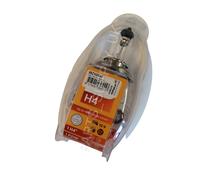 NEW Philips Kit Ricambio Lampadine H4 P21W PY21W P21/5W R5W W5W E Fusibile 10A