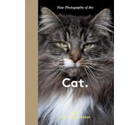 New Photography of the Cat: The best new photography of cats.
