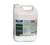 New Plast 2960 - Alghicida Doppia Funzione per Acqua Piscina, Tanica 5 lt