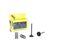 NEW PROX VALVOLA SCARICO YAMAHA YZF 450 (10-13)