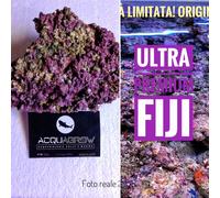 ✅NEW Rocce Vive ORIGINALI FIJI Qualità ULTRA Premium Acquario marino Tropicale