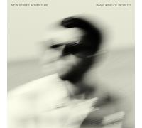 New Street Adventure What Kind of World? (Vinyl LP) (PRESALE 29/08/2025)