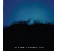 New Wilderness Gospel